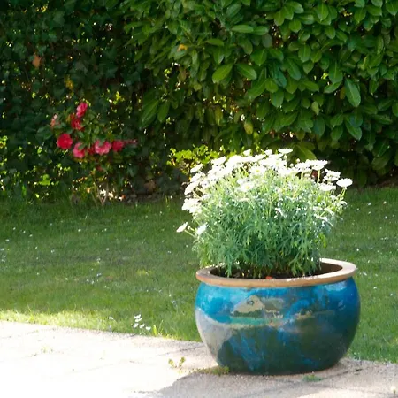 Les Hibiscus * Maisons-Laffitte