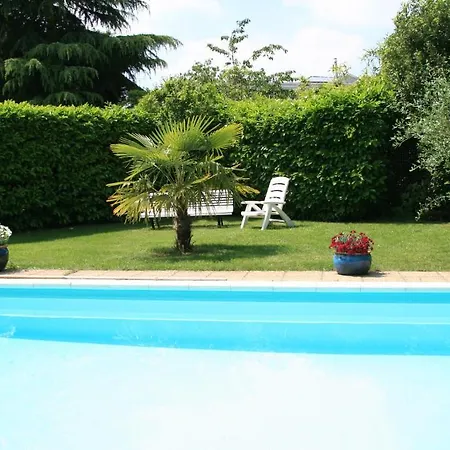 Les Hibiscus