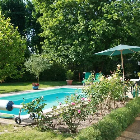 Les Hibiscus