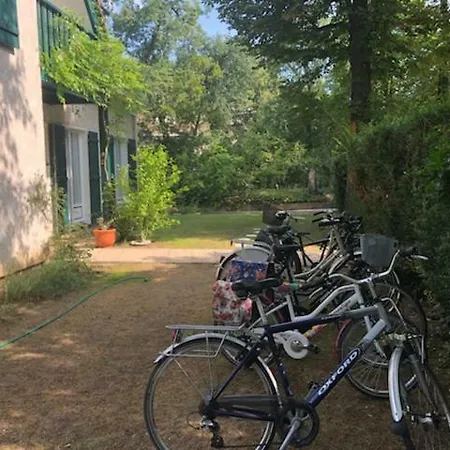 Les Hibiscus Maisons-Laffitte